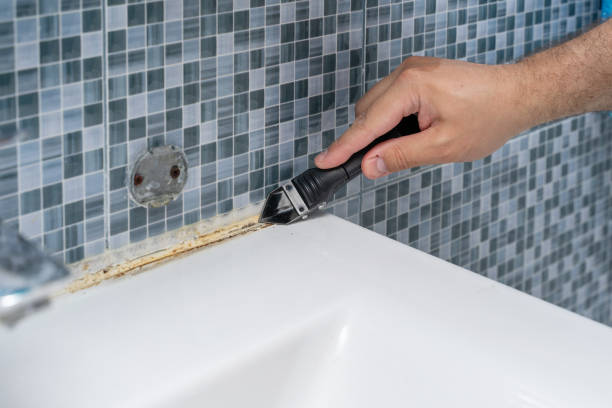 Best Industrial Mold Remediation in Dumbarton, VA