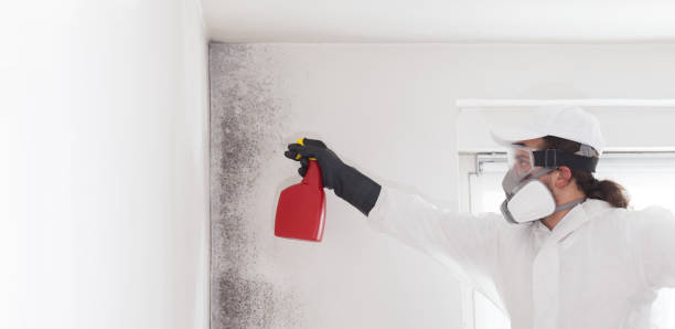 Best Post-Remediation Services in Dumbarton, VA