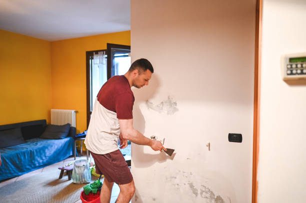 Best HVAC Mold Remediation in Dumbarton, VA