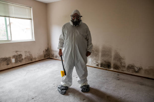 Best Mold Remediation for Specific Building Types in Dumbarton, VA